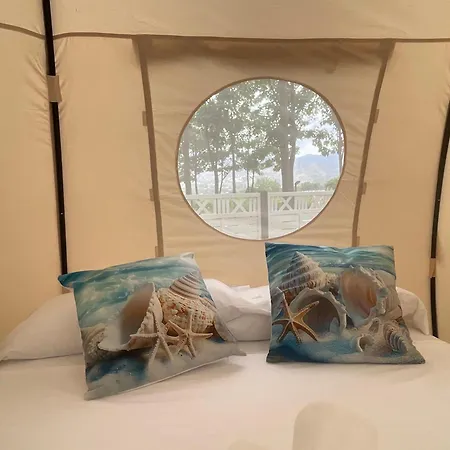 La Escalada * Gandía