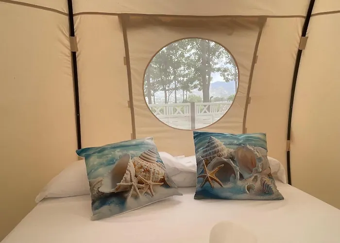 La Escalada * Gandía